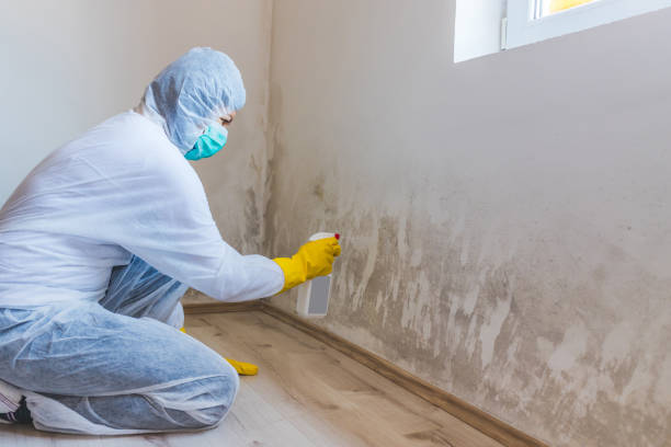 Mold inspector in Fairplay performing thermal imaging